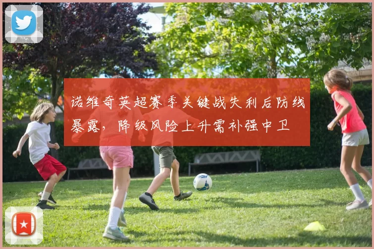 诺维奇英超赛季关键战失利后防线暴露,降级风险上升需补强中卫