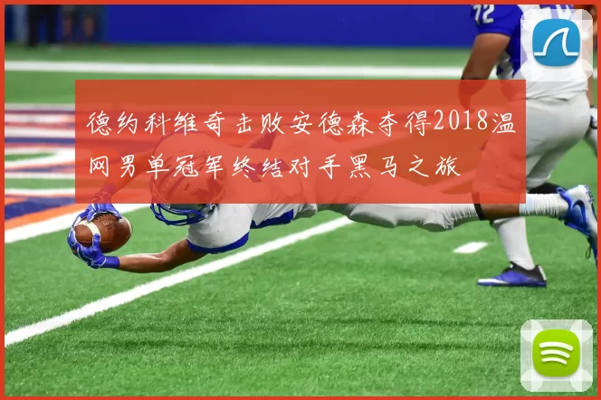 德约科维奇击败安德森夺得2018温网男单冠军终结对手黑马之旅